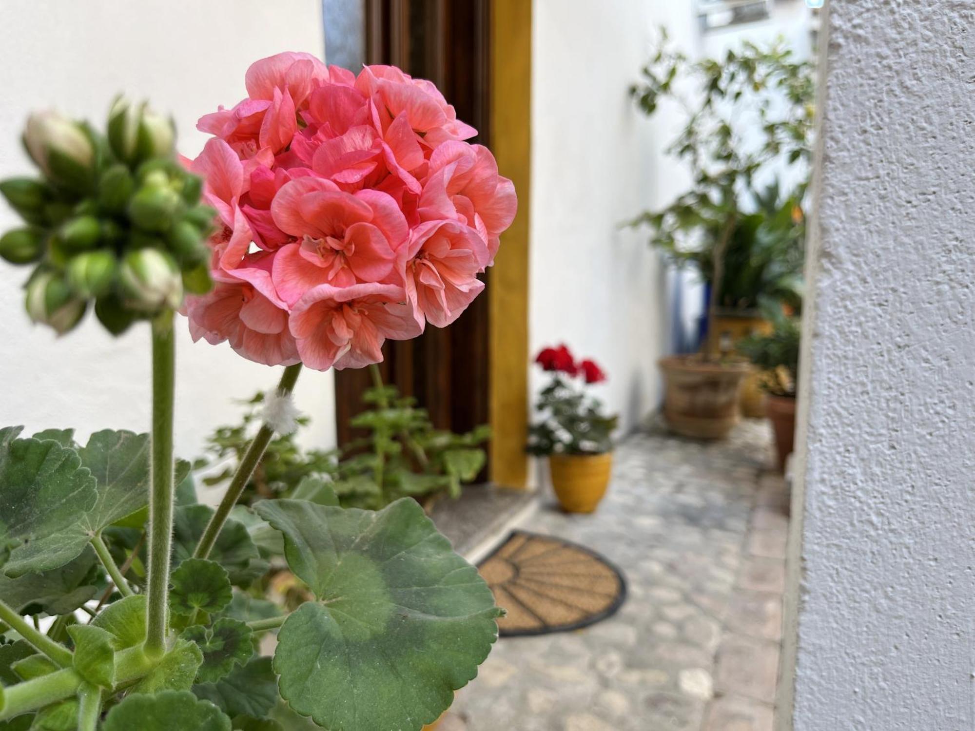 Casa Lia - Independent Apartment In The Gulf Of Orosei Galtellì Buitenkant foto